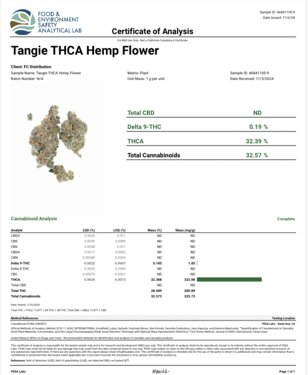 Tangie (fire) - Image 2